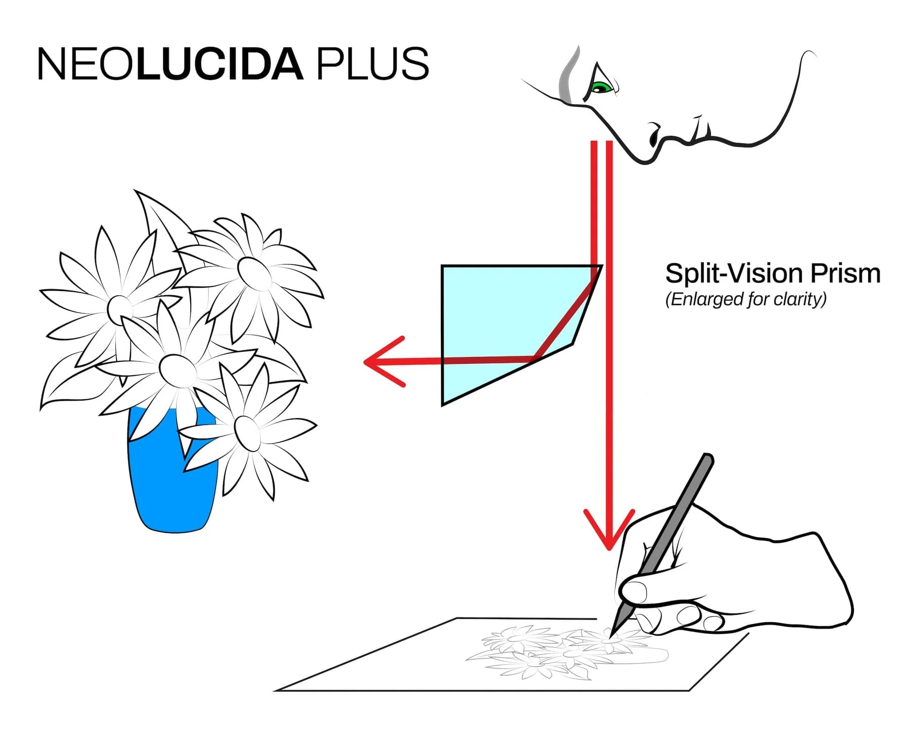 NeoLucida Deluxe - Image 8