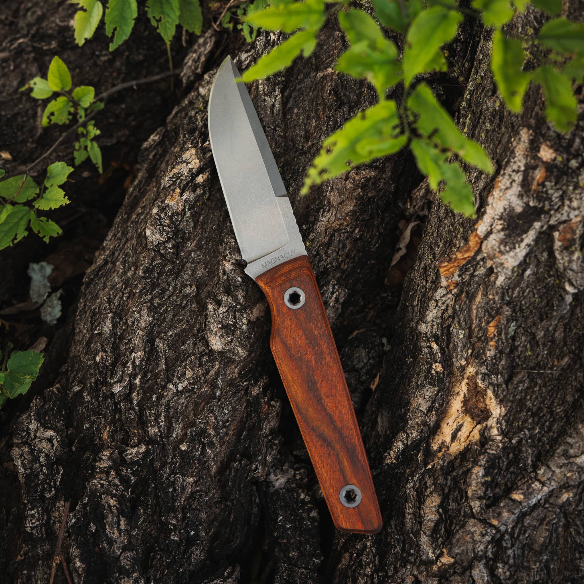USA Signal Fixed Blade - Image 6